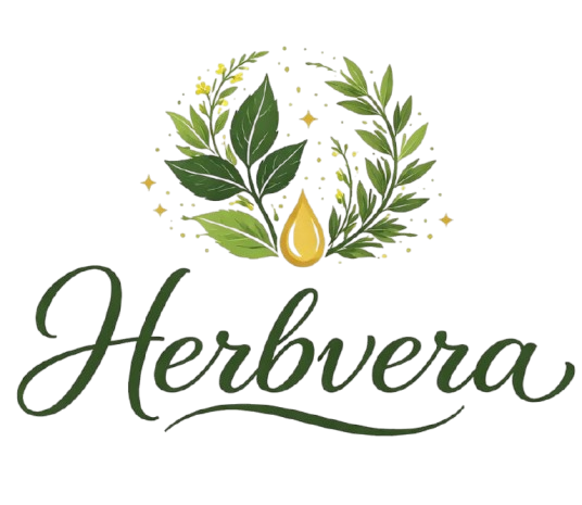 whatsapp image 2026 04 10 at 3.41.47 pm removebg preview (1)